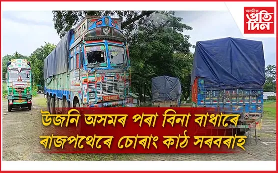 চোৰাং কাঠ সৰবৰাহৰ কৰিডৰলৈ পৰিণত কাজিৰঙা...
