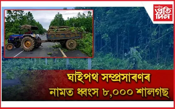 উন্নয়নৰ নামত ধ্বংস হাজাৰ-হাজাৰ শালগছ...