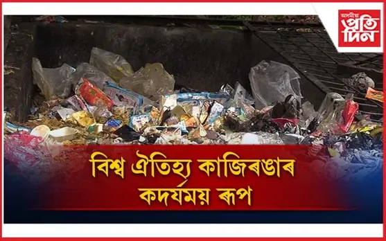 খোদ পৰ্যটন নিবাসে কাজিৰঙা লেতেৰা কৰা কাৰ্যত চিন্তিত প্ৰকৃতিপ্ৰেমী...