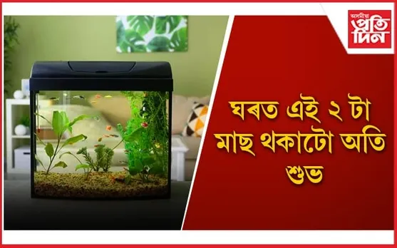 অপচয় নহয় আপোনাৰ গাঁঠিৰ ধন, বাঢ়িব সুখ-শান্তি, সমৃদ্ধি