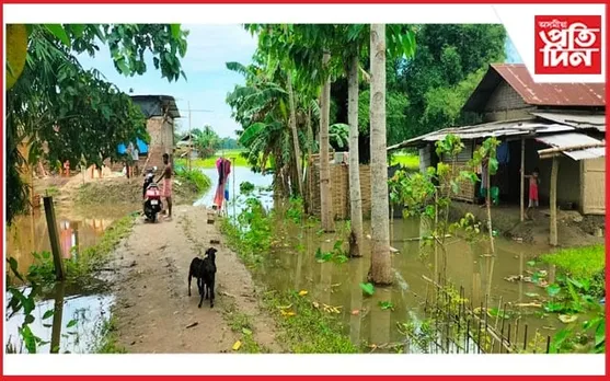 অব্যাহত বানৰ তাণ্ডৱ ! গোলাঘাটত ৩৪খন গাঁৱৰ ১৯ হেজাৰ লোক বানৰ কবলত...