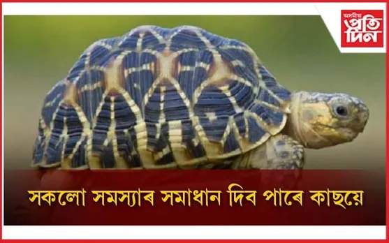 আজিয়েই ঘৰলৈ আনক কাছ, লাভ কৰক জীৱনৰ সকলো সুখ