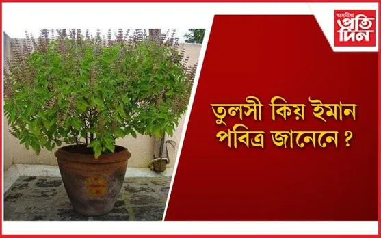 বিবাহিত জীৱনত অশান্তি হ’লে তুলসীৰ তলত কৰিব এই কাম