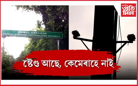 শিকলি কিনি হাতী কিনিব নোৱৰা অৱস্থাঃ কাজিৰঙাৰ কাঞ্চনজুৰিত নিষ্ক্ৰিয় কেমেৰা