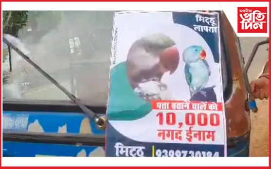 এটা চৰাই আৰু ১০,০০০ টকা...