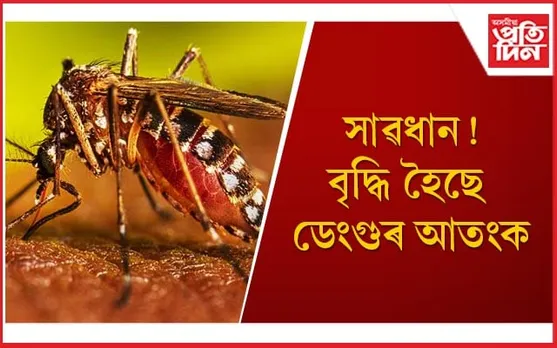 এইসমূহ হৈছে ডেংগুৰ কাৰণ-লক্ষণ, জানি লওঁক প্ৰতিৰোধৰ উপায়