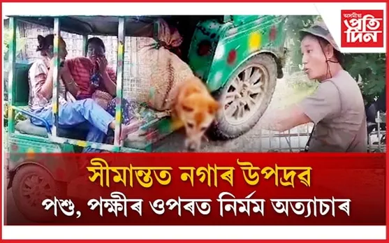 সীমান্তৰ গঞাৰ লগতে পশু-পক্ষী, জীৱ-জন্তুক নিৰ্মম অত্যাচাৰ নগাৰ...