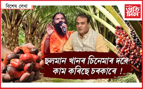মৰুভূমি হৈ যাওঁক অসম ! মোডীক দিয়া কথা মতেই হ'ব লাগিব পাম খেতি...
