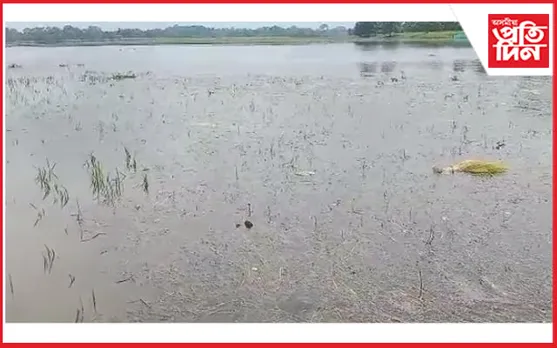 নীপকোৱে পানী এৰি দিয়াৰ ফলত খুমটাইৰ কেইবাশ হেক্টৰ কৃষিভূমি জলমগ্ন 
