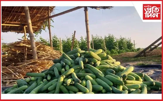 কৃষি কৰ্মৰে জামুগুৰিহাটৰ যুৱকে দেখুৱাইছে স্বাৱলম্বিতাৰ নিদৰ্শন