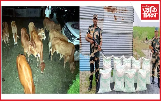 হাটশিঙিমাৰীত বৃদ্ধি পাইছে অবৈধ বেহাঃ ১০ গো-ধনৰ সমান্তৰালভাবে জব্দ চেনীৰ বস্তা