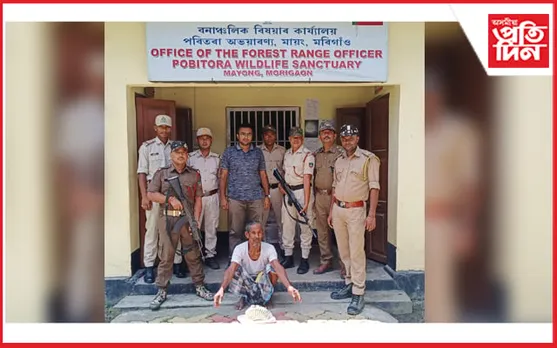 পবিতৰা অভয়াৰণ্য কৰ্তৃপক্ষৰ অভিযানত জব্দ হাতী দাঁত