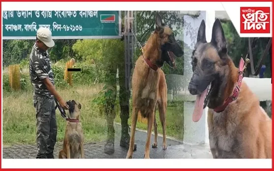 কাজিৰঙা ৰাষ্ট্ৰীয় উদ্যানৰ বিশেষ কৰ্মী মিছকী, লিয়ন আৰু ইমি...