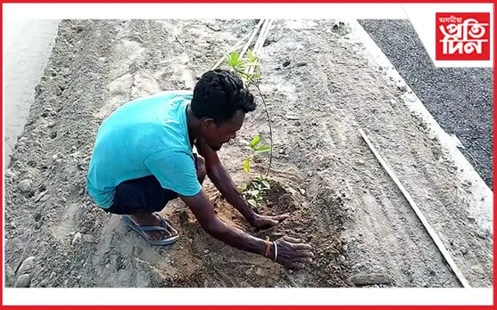 চাৰিলেনযুক্ত পথত গছপুলি ৰোপণৰ নামত লুণ্ঠন