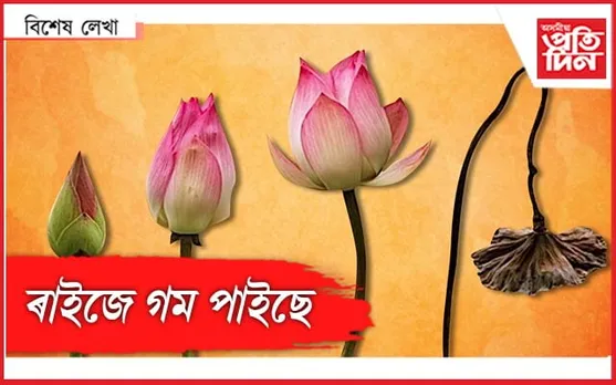 বিজেপি গেলিছে...