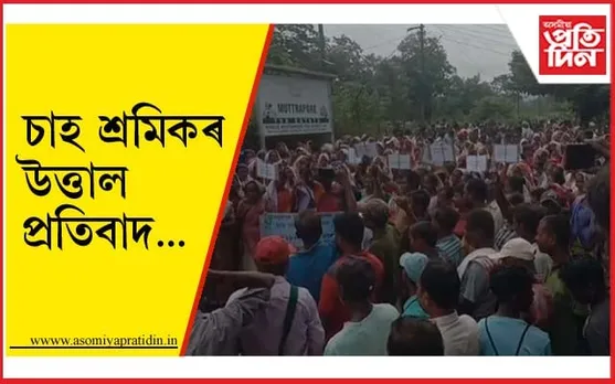 চাহ শ্ৰমিকৰ প্ৰতিবাদত উত্তাল মথুৰাপুৰ...  