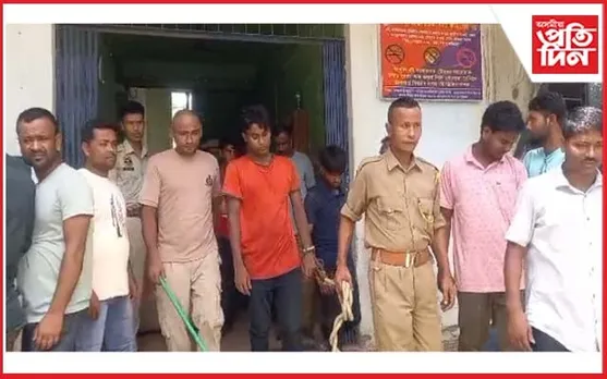 মায়ঙৰ কুছিয়ানিত ৪জন গৰু চোৰ আটক