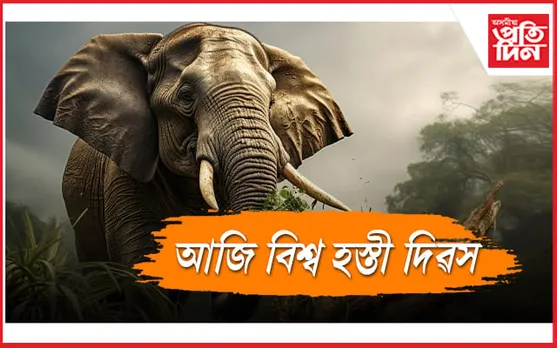 আজি বিশ্ব হস্তী দিৱসঃ চাওঁক আজিৰ তাৰিখত অসমত কিমান হাতী আছে... 