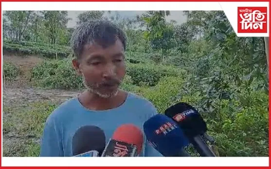 উপযুক্ত চিকিৎসাৰ অভাৱত এটা হাতীৰ কৰুণ মৃত্যু