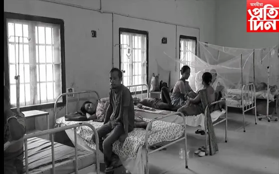 ধনশিৰি মহকুমাত বৃদ্ধি পাইছে ডেংগুৰ প্ৰাদুৰ্ভাৱ