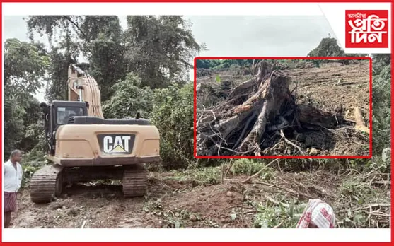 গছপুলি ৰোপণৰ অভিলেখৰ সময়তে তৈলকূপ স্থাপনৰ নামত অবাধ বন ধ্বংস...