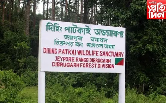 দিহিং-পাটকাই ৰাষ্ট্রীয় উদ্যানত গুলীয়াগুলীৰ ঘটনা