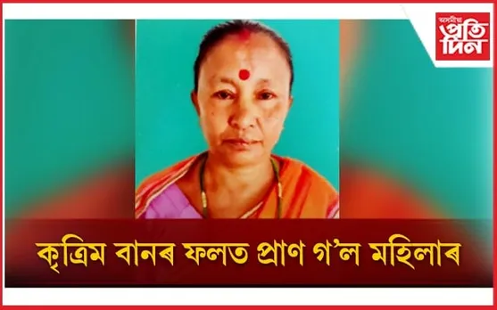 পথ অনুমান কৰিব নোৱাৰি পানীত পৰি মৃত্যু মহিলাৰ...