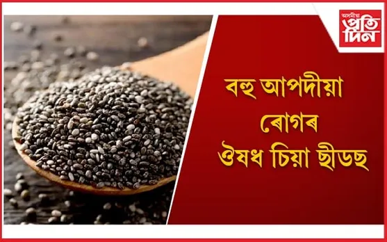 গাখীৰতকৈও পাচগুণ বেছি কেলছিয়ামযুক্ত চিয়া ছীডছ