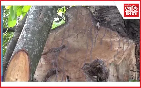 এফালে চৰকাৰৰ গছপুলি ৰোপণ,আনফালে ওদালগুৰিত বহিৰাগত কোম্পানীয়ে চলাইছে ধ্বংসযজ্ঞ