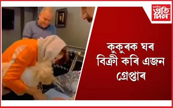 এপাৰ্টমেণ্টৰ গৰাকী হ'ল পোহনীয়া কুকুৰ, আইনী মেৰপাকত সন্তানহীন দম্পতি