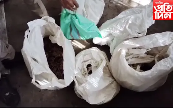 চিলাপথাৰত ৭ কেজি নিষিদ্ধ গাঞ্জা জব্দ