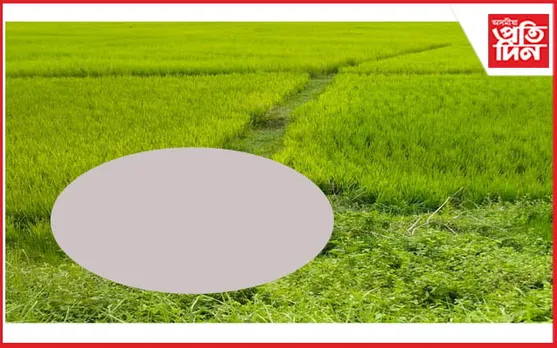 কমাৰবন্ধাত বহিঃৰাজ্যৰ যুৱকৰ মৃতদেহ উদ্ধাৰঃ হত্যাৰ সন্দেহ আৰক্ষীৰ