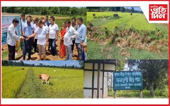 ধোঁৱা চাঙত চৰকাৰী আঁচনিঃ কৃষিমন্ত্ৰীৰ গৃহ জিলাতেই চন পৰিল হেক্টৰ হেক্টৰ ভূমিত কঠীয়া