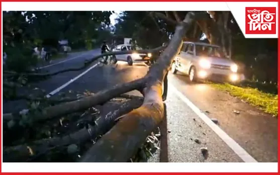 জখলাবন্ধাত গছৰ ডাল পৰি পথ বন্ধ