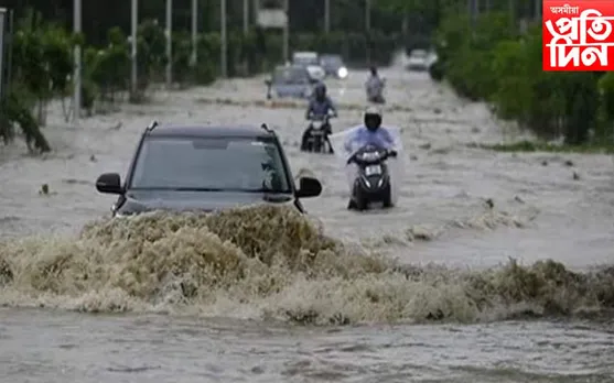 কৃত্ৰিম বানৰ কবলত লক্ষ্ণৌ...