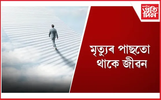 অধ্যয়নত পোহৰলৈ আহিছে সকলোকে আচৰিত কৰা এই তথ্য