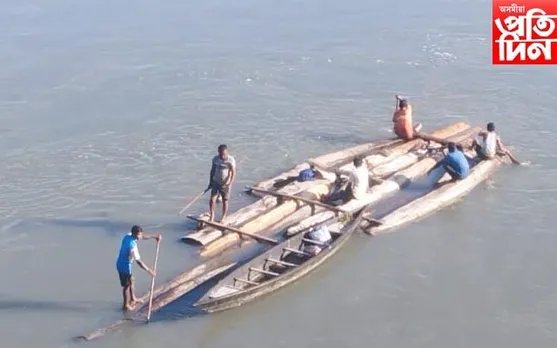 সোৱণশিৰিৰ বুকুৱেদি চলিছে দুষ্প্ৰাপ্য চিয়াঁ নাহৰৰ চোৰাং সৰবৰাহ
