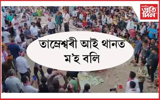 ঐতিহাসিক চিলাসুতি তাম্ৰেশ্বৰী আইথানত মহা নৱমী উপলক্ষে ম'হ বলি...