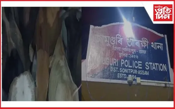 জামুগুৰিহাটত চোৰাং গৰু জব্দ