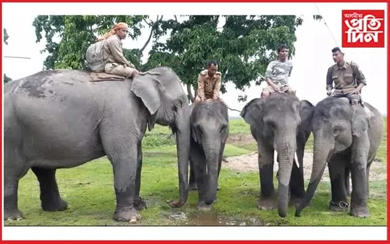 ২০২৩-২৪ পৰ্যটন বৰ্ষৰ হাতী ছাফাৰী মুকলি কৰাৰ প্ৰস্তুতি