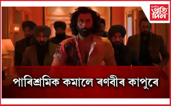 আহি আছে ৰণবীৰ-ৰশ্মিকাৰ বহুচৰ্চিত 'এনিমেল'