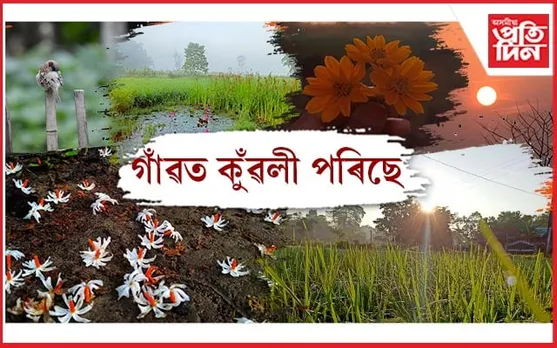 আমোল মোল শেৱালিৰ গোন্ধত শৰতৰ আগমন