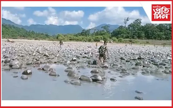 সোৱণশিৰি নদীৰ অকাল মৃত্যু ! লখিমপুৰ জিলা প্ৰশাসনৰ সতৰ্কবাণী