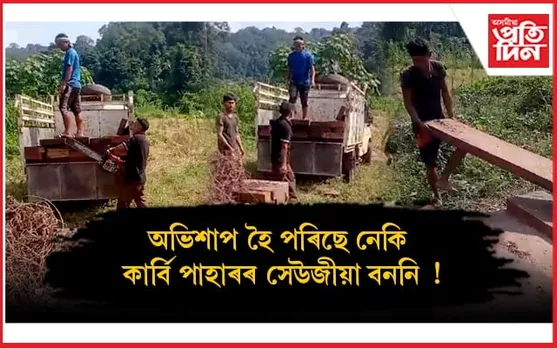 কাৰ্বি পাহাৰ, গোলাঘাটক কেন্দ্ৰ কৰি উজনিত শক্তিশালী চোৰাং কাঠৰ ছিণ্ডিকেত !