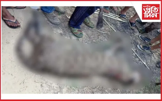 নাহৰফুটুকীৰ সৈতে যুঁজ নগা যুৱকৰ