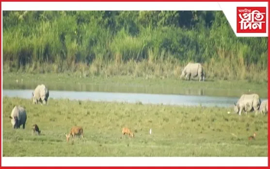  প্ৰচুৰ সম্ভাৱনা কঢ়িয়াই আনিছে কাজিৰঙাৰ বাগৰী বনাঞ্চলৰ ডোঙ্গা বিলে 