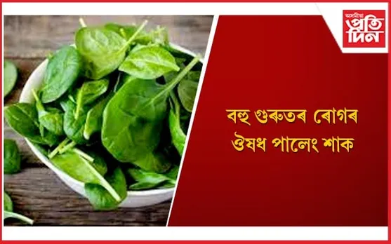 পালেং শাকৰ স্বাস্থ্য উপকাৰিতাৰ বিষয়ে জানেনে ? 