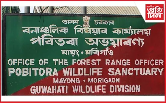 গোনা ম’হৰ আক্রমণত গুৰুতৰভাৱে শ্ৰমিক আহত