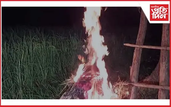 কঠীয়াতলীত হাতী খেদাত ব্যস্ত গাঁওবাসী