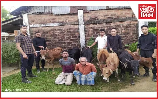কৰিমগঞ্জত ৭টা গৰুসহ ২জন চোৰাং ব্যৱসায়ীক আটক